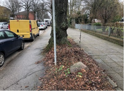 cid:image002.png@01DB133C.958B6E30