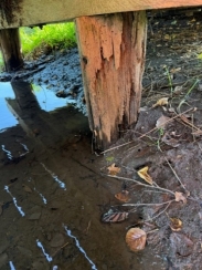 G:\4 Brückenbau\4.1+2 Br.Bau\Bauwerke\BW 176 - 200\180 Fußgängerbrücke Morier Hof\Maßnahmen\2024 Ersatzneubau Morier Hof\11 Gutachten - Eignungsnachweise - Fotos\11_02 Fotos Altbestand\241017 15.jpeg