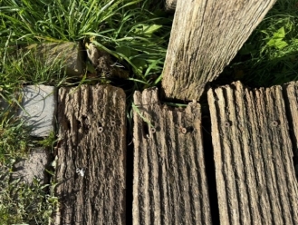 G:\4 Brückenbau\4.1+2 Br.Bau\Bauwerke\BW 176 - 200\180 Fußgängerbrücke Morier Hof\Maßnahmen\2024 Ersatzneubau Morier Hof\11 Gutachten - Eignungsnachweise - Fotos\11_02 Fotos Altbestand\241017 17.jpeg