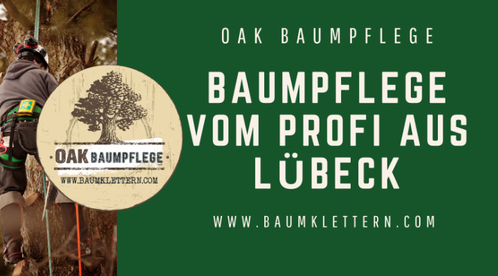 www.oak-baumpflege.de