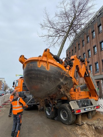 März 2022 | Großbaumverpflanzung